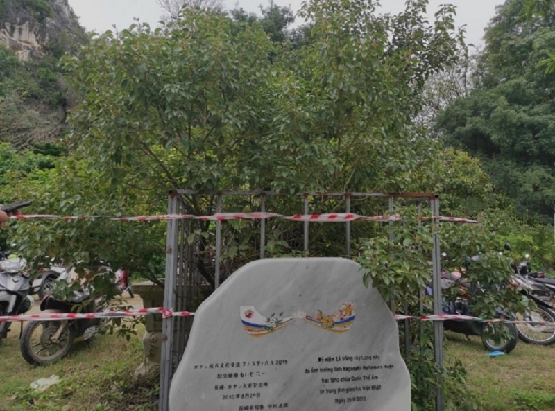 クアン・テー・アン寺内の美術館