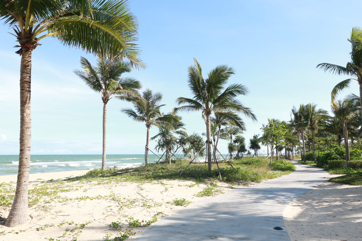 ホテル内のビーチ横の広々とした整備された歩道