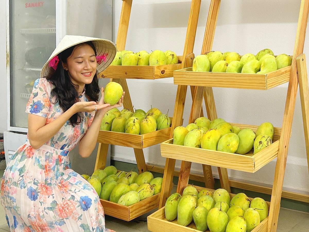 ダナンのマンゴースイーツ専門店Little Mangoでベトナムフルーツを堪能しよう