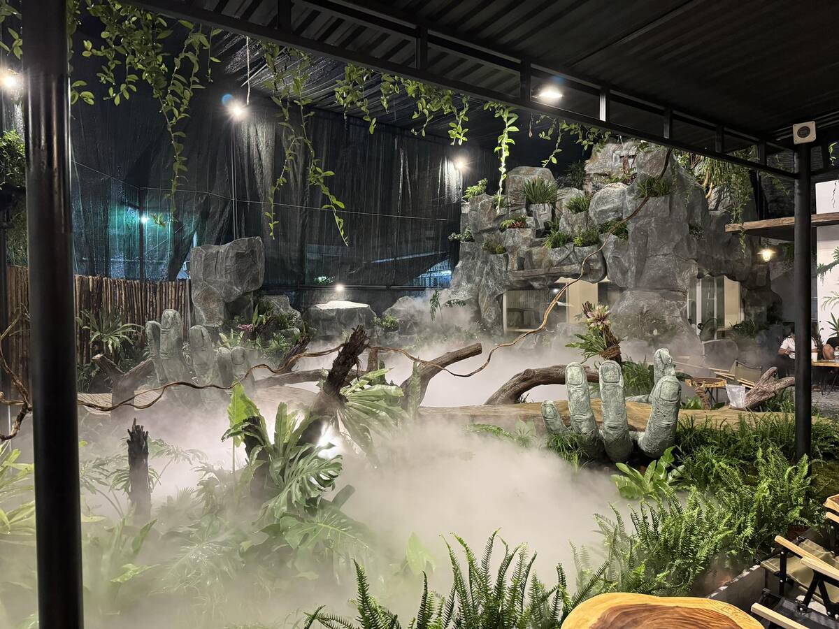 Tà Xùa Coffee - Rừng Nhiệt Đới (タースアコーヒー・ルンニェィットドイ)