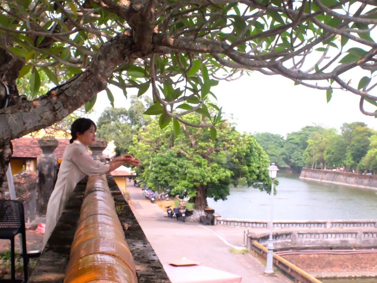 上から眺められる景色がとてもきれいで、心が癒されるような気持ちになれます。