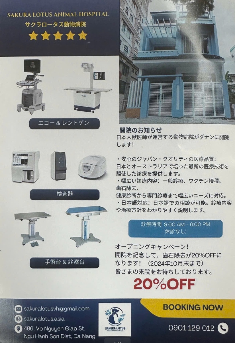 2024年10月末までは、歯石除去が20％割引きで受けることが出来ます。