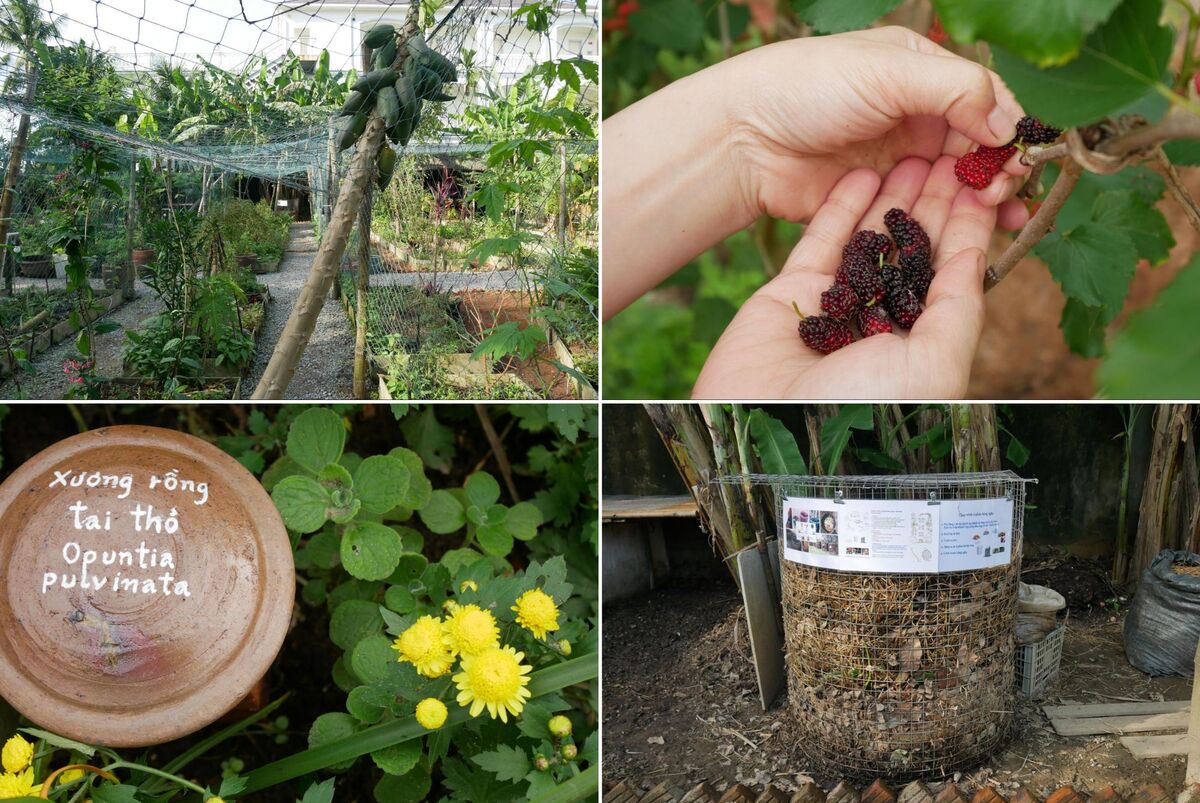 Healing destination spa