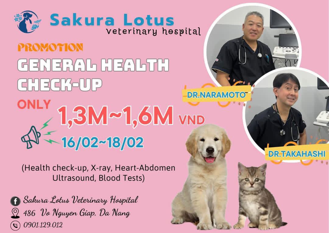 サクラロータス動物病院「ワンちゃん、ネコちゃん特別健康相談会開催！(2025年2月16日～18日」