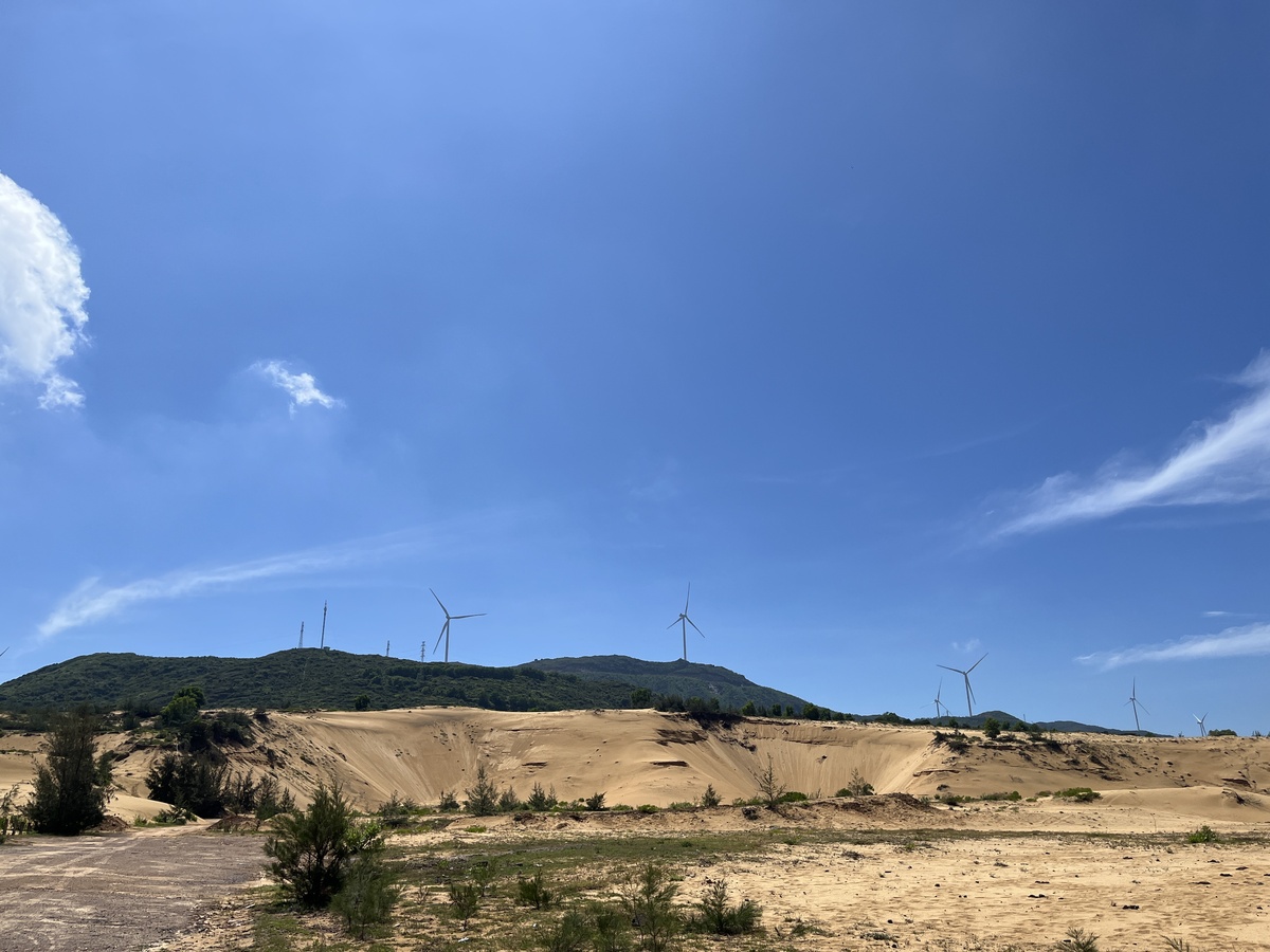 Đồi Cát Phương Mai