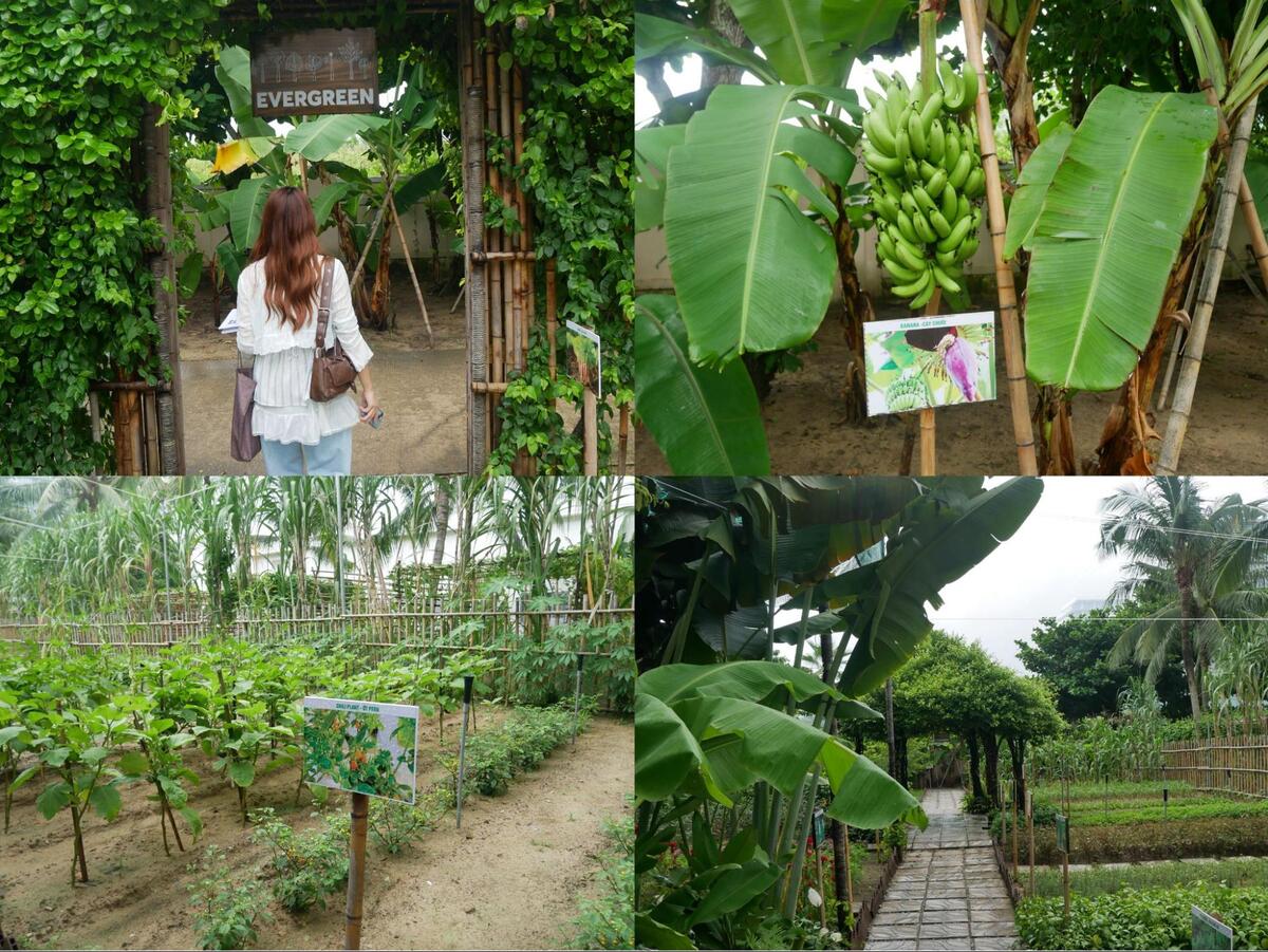 Danang Marriot Resort &amp; Spa