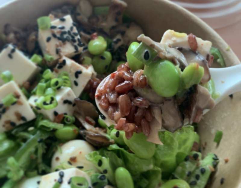 Pokeman(ポケマン)