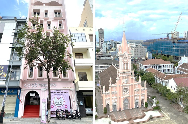 猫好きにはたまらない癒しの空間がダナンにも！