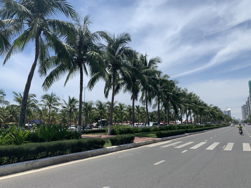 Trà House &amp; Bistro前にはヤシの木が立ち並び、すぐ目の前はミーケビーチという好立地