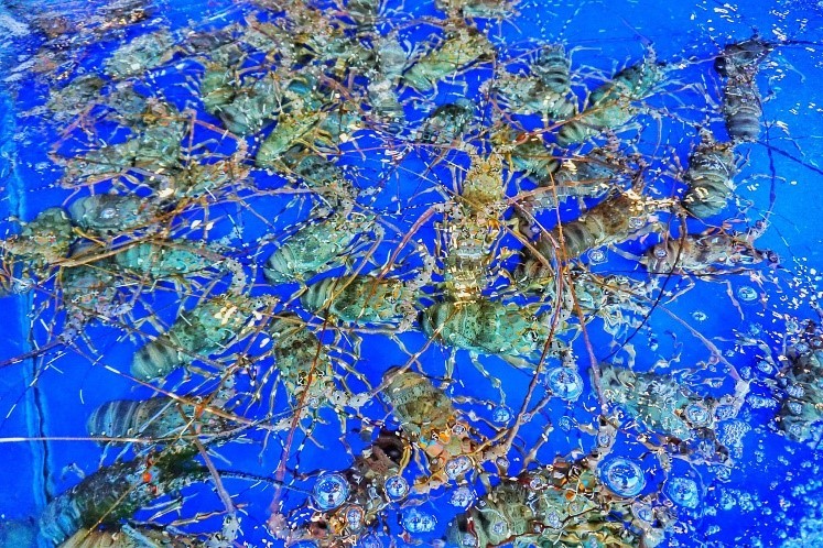 VietPearl Seafood Restaurant