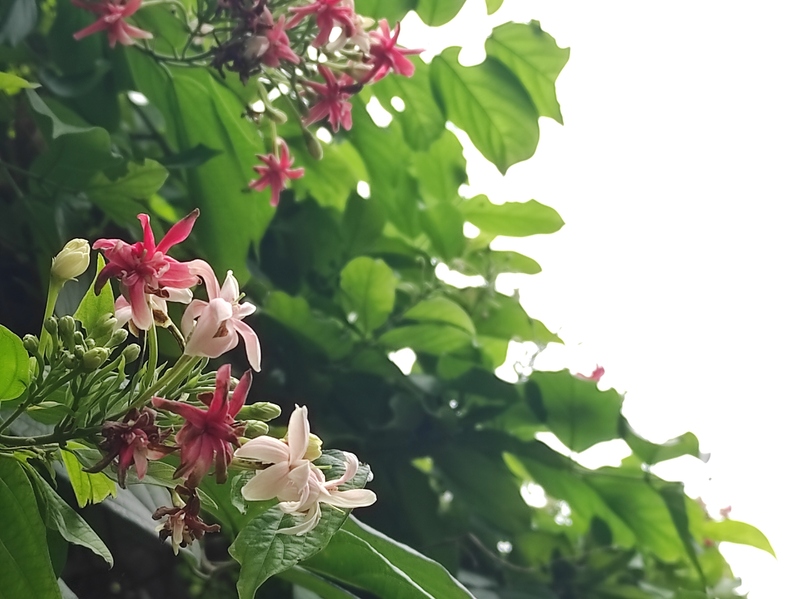 路地裏のコーヒーショップへは看板を目印に訪れよう