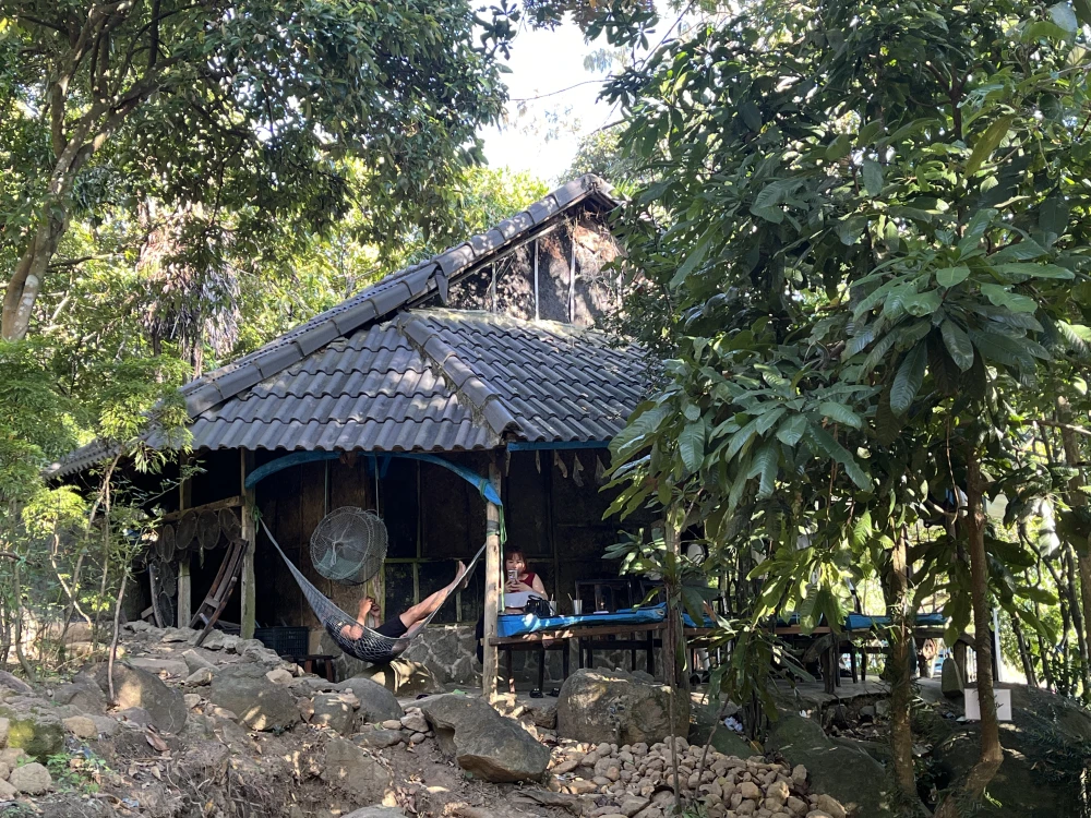 ハンモックでのんびりしている人もいました