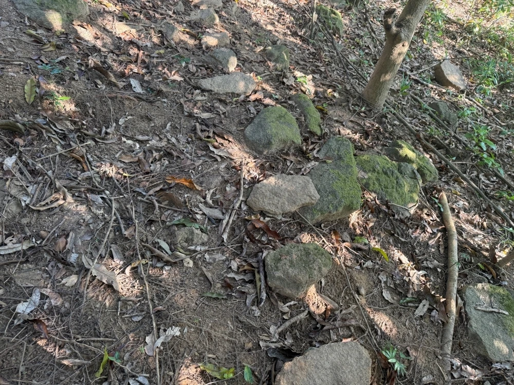 足場がこうゆう場所は、もう整備されていません。