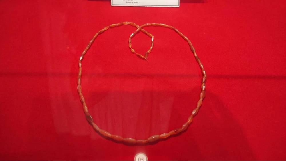 サーフィン文化博物館