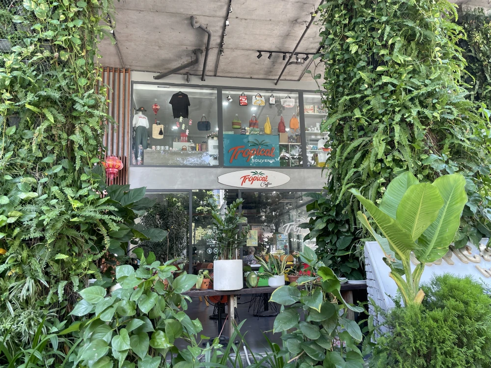 Tropical Souvenir