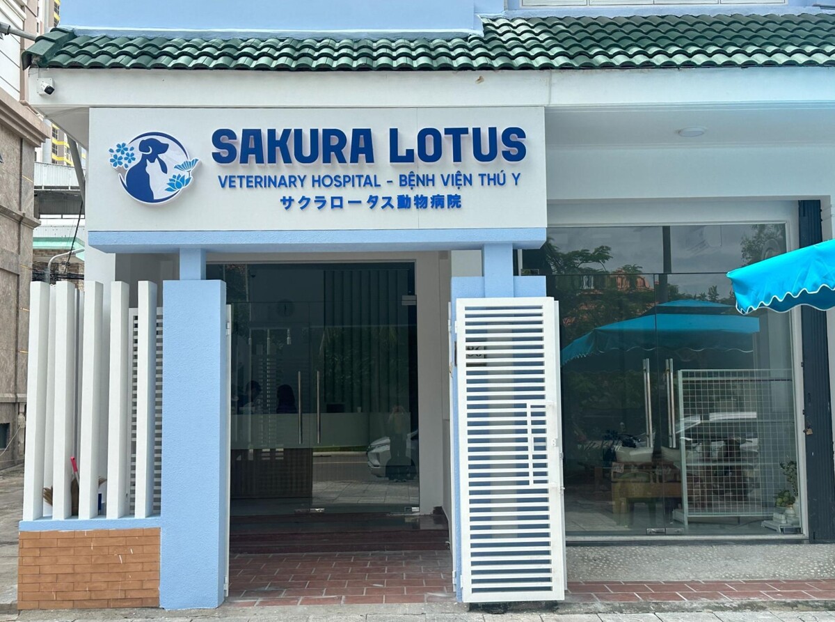 ダナン｜日系の動物病院「Sakura Lotus Veterinary Hospital(サクラロータス動物病院) 」
