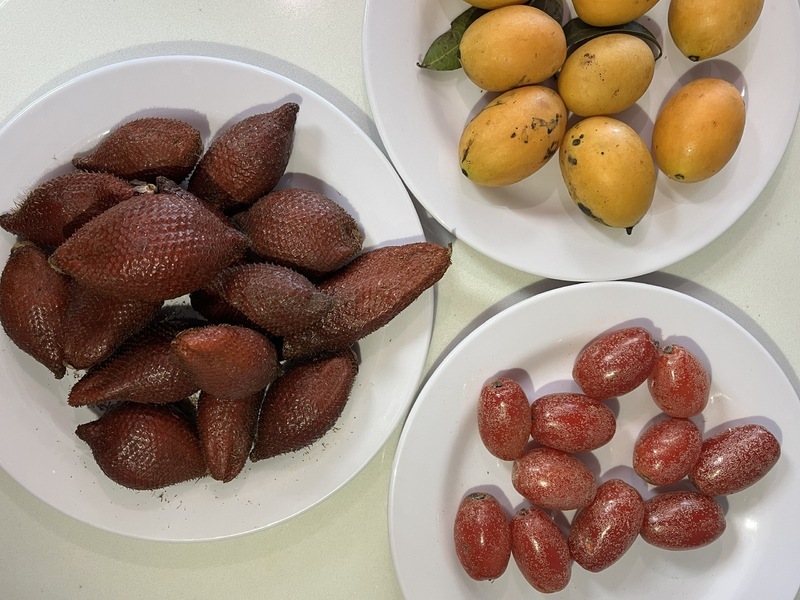 ベトナムで食べる珍しい果物３選（サラク／グミの実／ガンダリア）