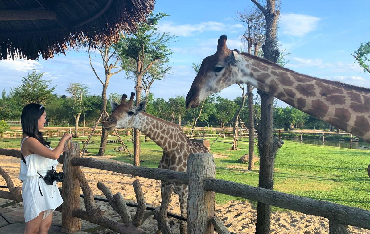 ホイアンのテーマパーク「VinWonders Nam Hoi An」の楽しみ方