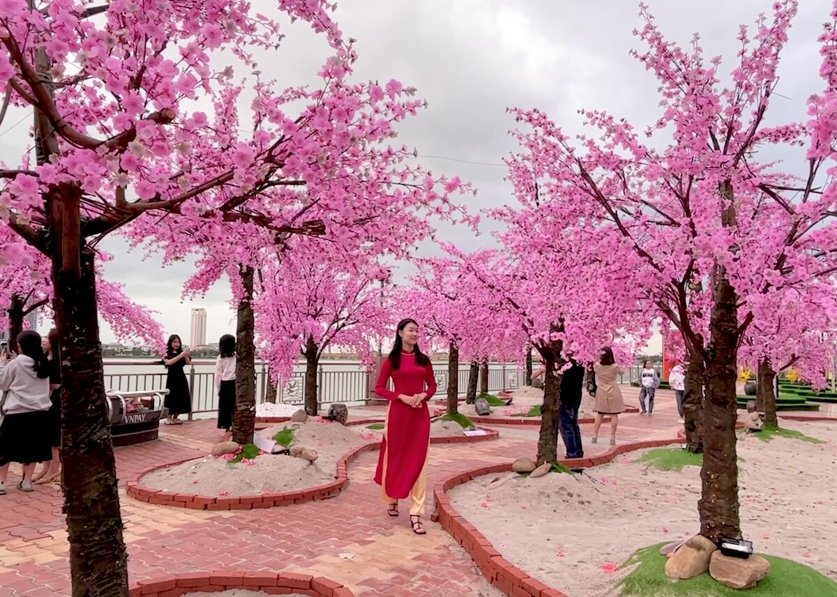 2023年ダナン│フラワーロード出現で雨期の町も華やかに