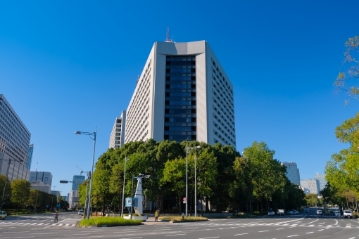 【新卒女子が行く！ダナン就職在住までの道のり】ビザ①渡航証明の申請