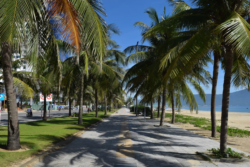 【イベント】ダナンを走ろう！2019/8/11開催