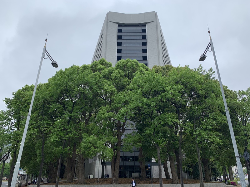 【新卒女子が行く！ダナン就職在住までの道のり】ビザ取得②