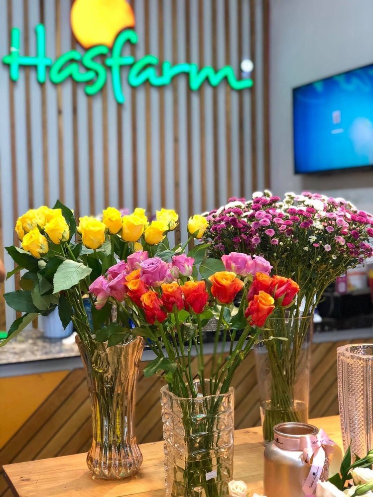【移転】日本に輸出も行う・ベトナム大手生花店ダラットハスファーム(Dalat Hasfarm)
