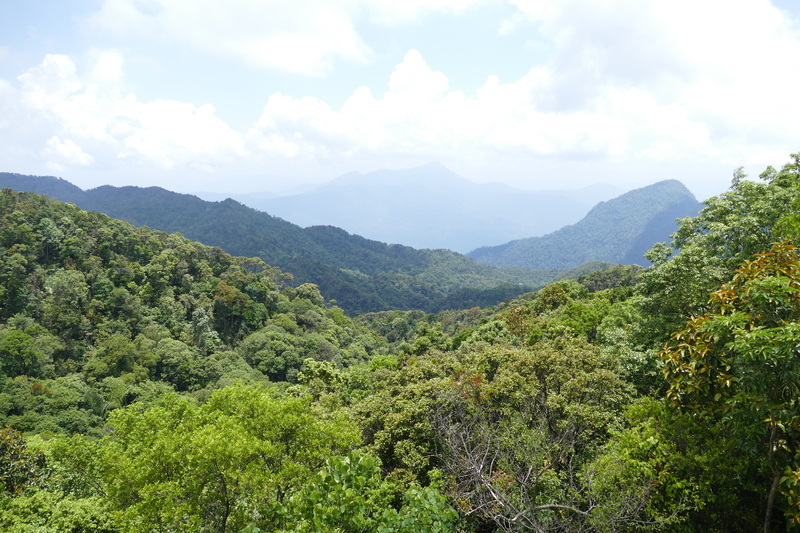 ダナン・フエから２時間で行けるバックマー国立公園の魅力