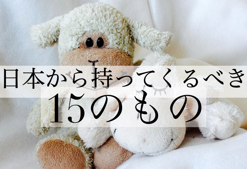 【ダナン就職在住までの道のり】日本から持ってくるべき15のもの